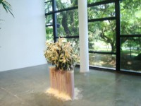 /album/exposi%c3%a7%c3%a3o%20ibirapuera/dsc03122-640x480-jpg/